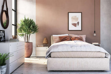 Finding Peace at Home: How Decluttering Transforms Your Space and Mind
