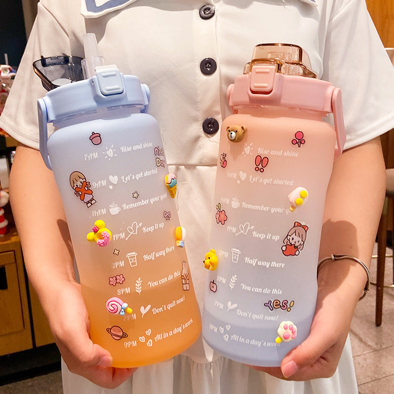 Hydration Tracking Bottle